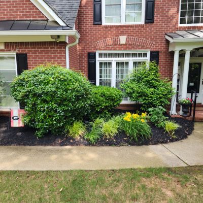 Mulch After