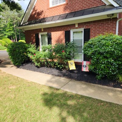 Mulch After