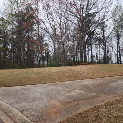 Spring Cleaning After