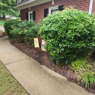 Mulch Before