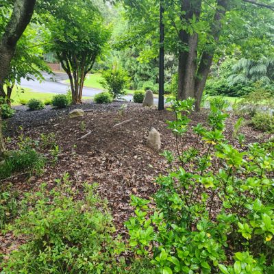 Mulch Before