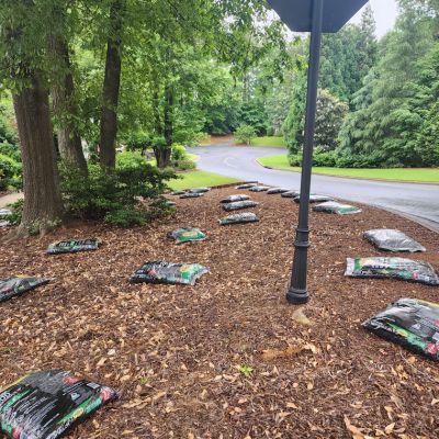 Mulch Before