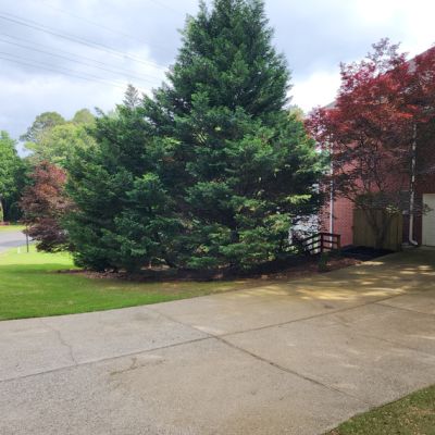 Mulch Before
