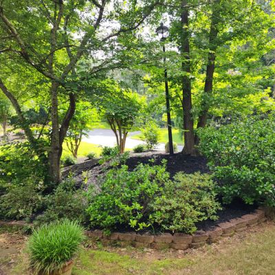 Mulch After