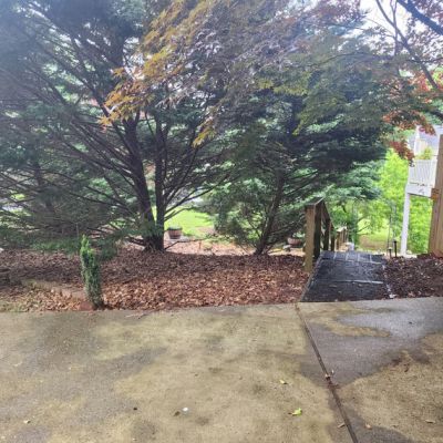 Mulch Before