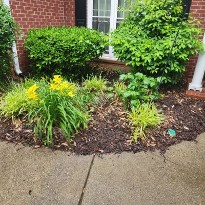 Mulch Before